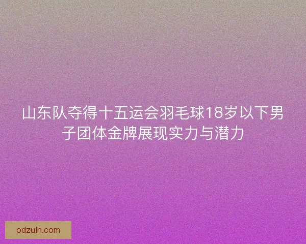 山东队夺得十五运会羽毛球18岁以下男子团体金牌展现实力与潜力