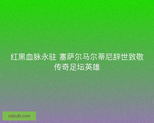 红黑血脉永驻 塞萨尔马尔蒂尼辞世致敬传奇足坛英雄